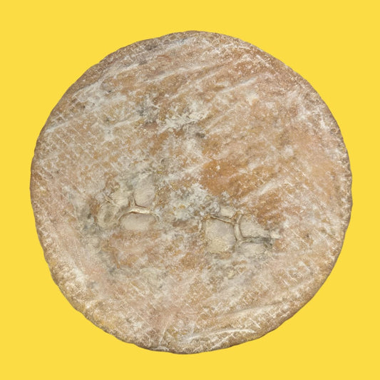 Nettus - Raw Ewe's Milk Cheese - Norfolk Deli