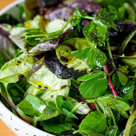 Deli Picnic Salads - Norfolk Deli