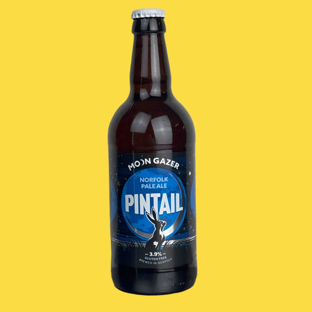 Moongazer Pintail Pale Ale - Norfolk Deli