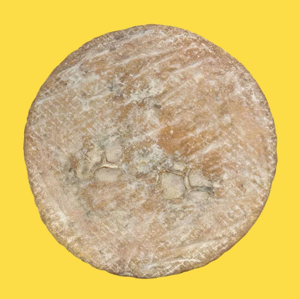 Nettus - Raw Ewe's Milk Cheese - Norfolk Deli