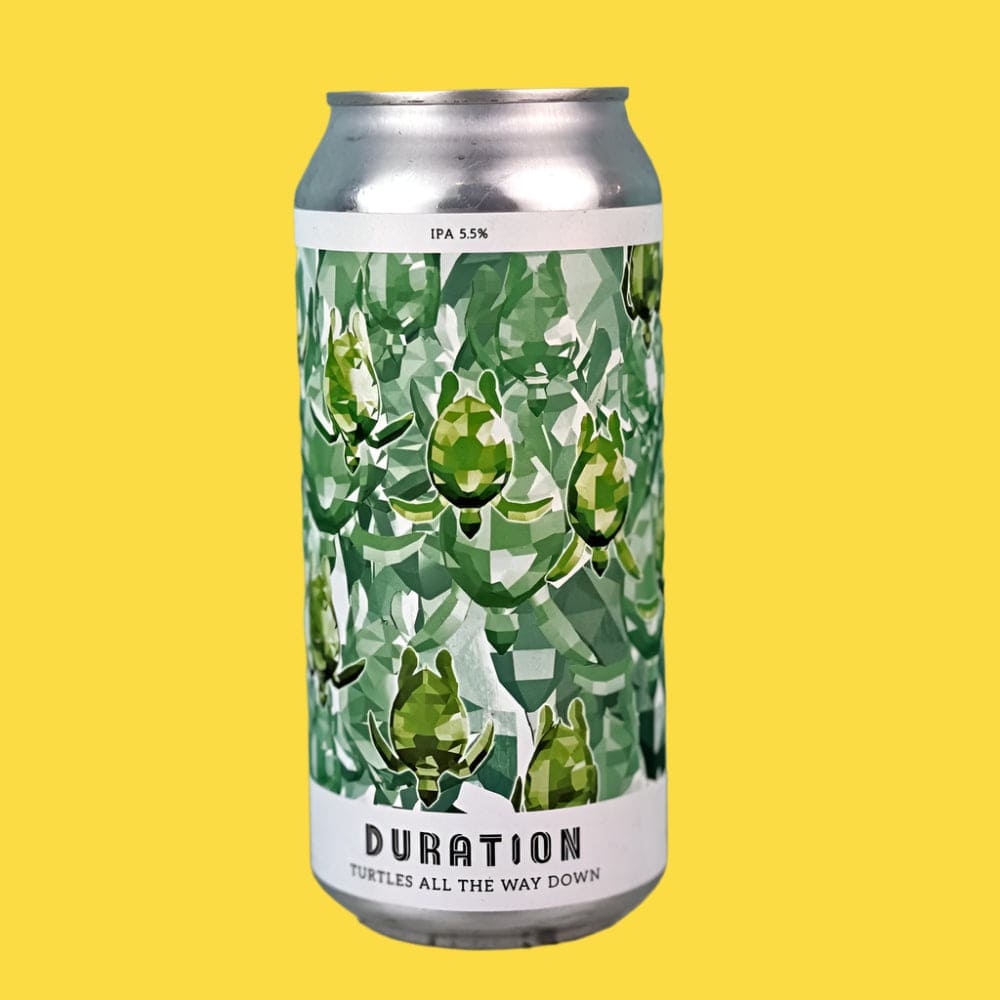 Turtles all the way down - Norfolk Deli